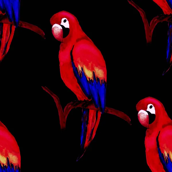 Υδατογραφία Αδιάλειπτη Μοτίβο Παπαγάλο Macaw Εξωτική Ταπετσαρία Πουλιών Ζούγκλας Σπουδαίο — Φωτογραφία Αρχείου