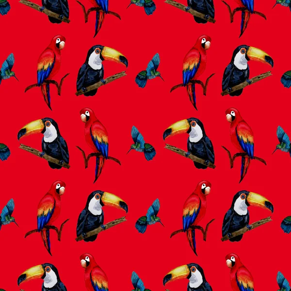 タオカン マコウオウムとハチドリと水彩シームレスパターン 夏の熱帯図 抽象的な野生のエキゾチックな動物のプリント かわいい漫画野生動物 — ストック写真