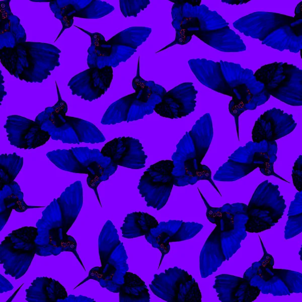 Aquarel Naadloos Patroon Met Kolibrie Aquarel Illustratie Met Kleurrijke Kolibrie — Stockfoto