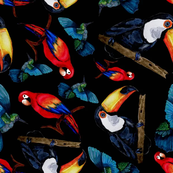 Aquarelle Motif Sans Couture Avec Toucan Perroquet Aras Colibri Illustration — Photo