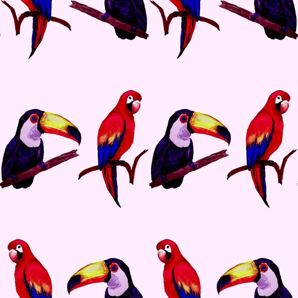 Aquarelle Motif Sans Couture Avec Toucan Perroquet Aras Colibri Illustration — Photo