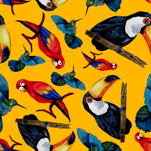 Aquarelle Motif Sans Couture Avec Toucan Perroquet Aras Colibri Illustration — Photo