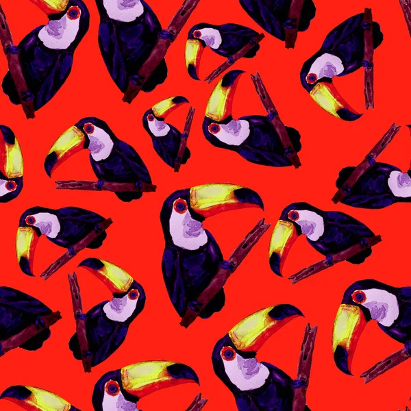 Akvarel Bezešvný Vzor Toucan Letní Tropická Ilustrace Bezproblémový Abstraktní Exotický — Stock fotografie