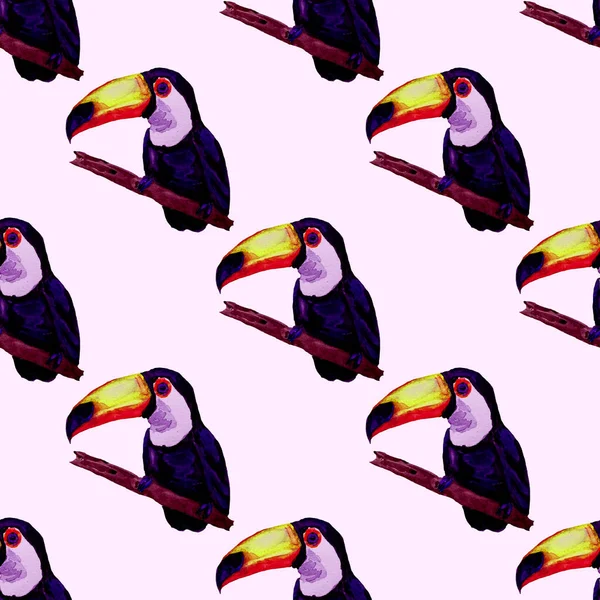 Acquerello Modello Senza Soluzione Continuità Con Toucan Illustrazione Tropicale Estiva — Foto Stock