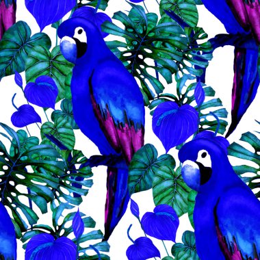Kuşların, tropik çiçeklerin ve yaprakların olduğu kusursuz bir suluboya deseni. Her türlü tasarım için parlak bir yaz baskısı. Egzotik orman hayvanı duvar kağıdı. Moda baskısı.
