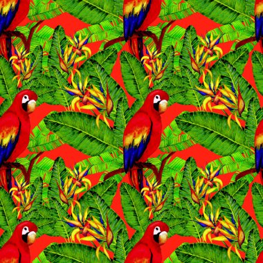 Kuşların, tropik çiçeklerin ve yaprakların olduğu kusursuz bir suluboya deseni. Her türlü tasarım için parlak bir yaz baskısı. Egzotik orman hayvanı duvar kağıdı. Moda baskısı.