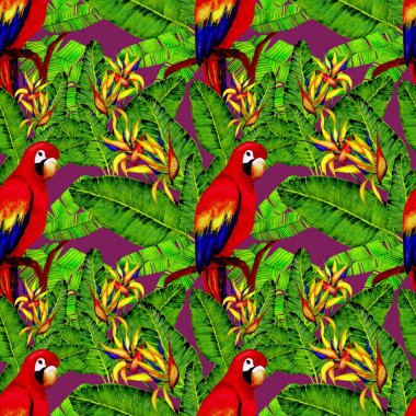 Kuşların, tropik çiçeklerin ve yaprakların olduğu kusursuz bir suluboya deseni. Her türlü tasarım için parlak bir yaz baskısı. Egzotik orman hayvanı duvar kağıdı. Moda baskısı.