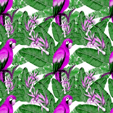 Kuşların, tropik çiçeklerin ve yaprakların olduğu kusursuz bir suluboya deseni. Her türlü tasarım için parlak bir yaz baskısı. Egzotik orman hayvanı duvar kağıdı. Moda baskısı.