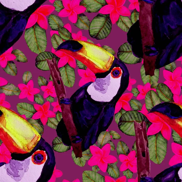 Vacker Akvarell Sömlöst Mönster Med Fåglar Och Tropiska Blommor Och — Stockfoto