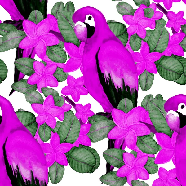 Bella Acquerello Modello Senza Soluzione Continuità Con Uccelli Fiori Tropicali — Foto Stock