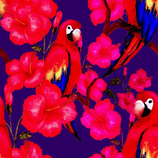Frumos Model Fără Sudură Acuarelă Păsări Flori Tropicale Frunze Imprimare — Fotografie, imagine de stoc