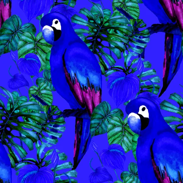 Krásná Akvarel Bezešvný Vzor Ptáky Tropické Květiny Listy Jasné Letní — Stock fotografie