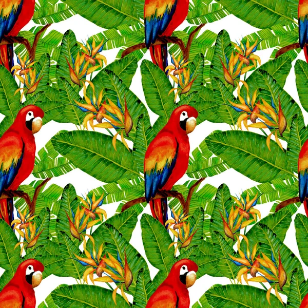 Beautiful Watercolor Seamless Pattern Birds Tropical Flowers Leaves Bright Summer — Stock Photo, Image