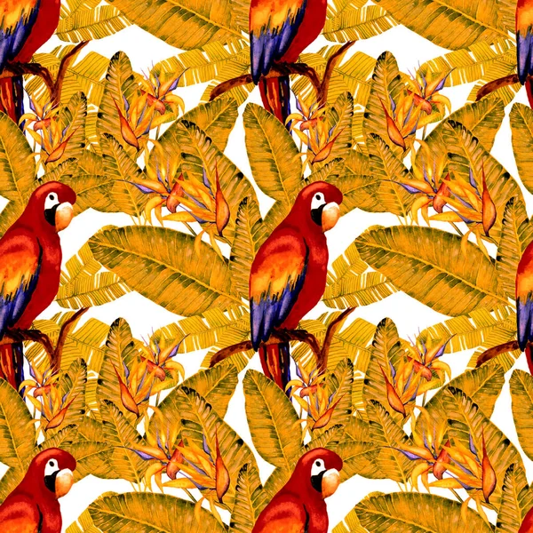 Beautiful Watercolor Seamless Pattern Birds Tropical Flowers Leaves Bright Summer — Stock Photo, Image