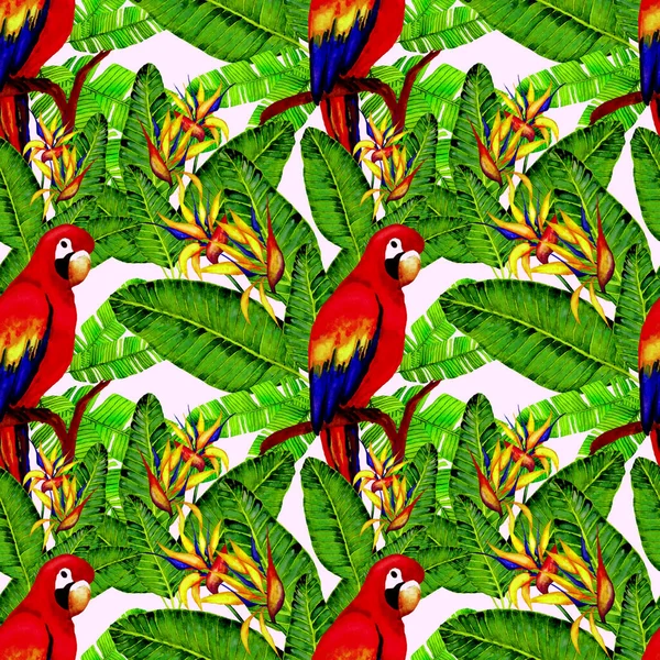 Beautiful Watercolor Seamless Pattern Birds Tropical Flowers Leaves Bright Summer — Stock Photo, Image