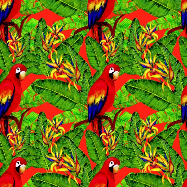 Beautiful Watercolor Seamless Pattern Birds Tropical Flowers Leaves Bright Summer — Stock Photo, Image