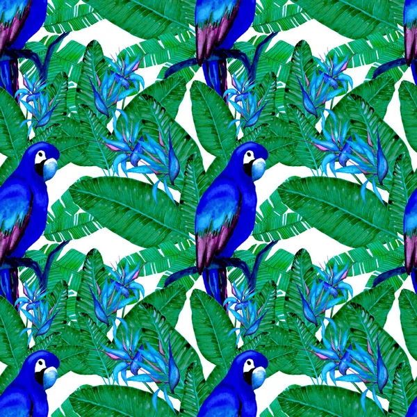 Beautiful Watercolor Seamless Pattern Birds Tropical Flowers Leaves Bright Summer — Stock Photo, Image