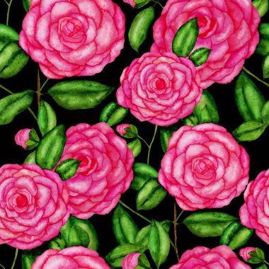 Kamelya çiçekli suluboya desenli. Çiçek tasarımı. Kamelyalı romantik bir düğün geçmişi. Parlak, kusursuz bir yaz deseni. Botanik duvar kağıdı. Her türlü tasarım için kullanılabilir.