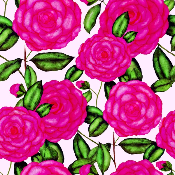 Akvarell Sömlöst Mönster Med Camellia Blommor Blommig Design Romantisk Bröllopsbakgrund — Stockfoto