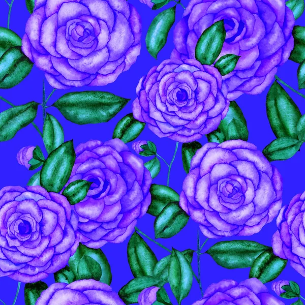Υδατογραφία Αδιάλειπτη Μοτίβο Λουλούδια Καμέλιας Floral Σχεδιασμό Ρομαντικό Φόντο Του — Φωτογραφία Αρχείου