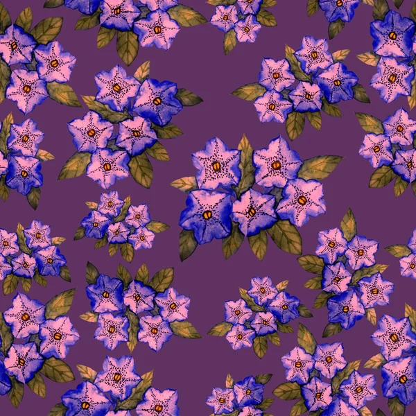 Watercolor Seamless Pattern Flowers Vintage Floral Pattern Flower Seamless Pattern — Stock Photo, Image