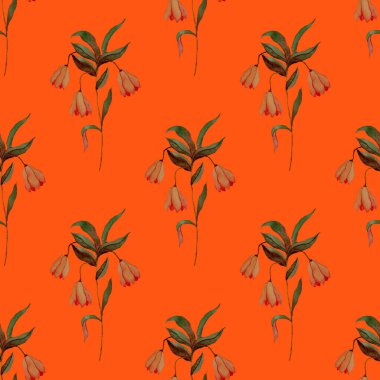 Çiçeklerle suluboya kusursuz desen. Klasik çiçek desenleri. Çiçeksiz desen. Botanik sanatı. Çiçek botanik koleksiyonu. Suluboya botanik tasarımı.