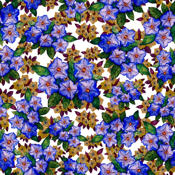 Akvarell Zökkenőmentes Minta Virágokkal Vintage Virágmintás Virág Zökkenőmentes Minta Botanikai — Stock Fotó