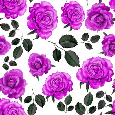 Klasik suluboya gül desenli, her şey için harika bir tasarım. Çiçekli tebrik kartı. Suluboya el yapımı bahar tasarımı.