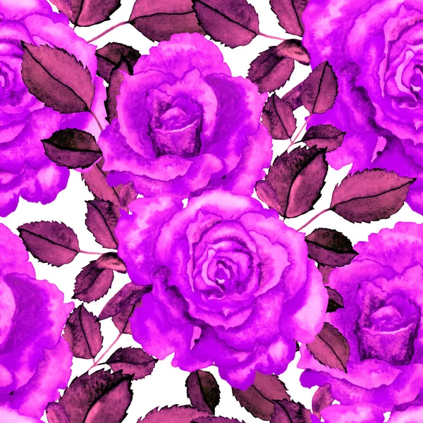 Modèle Rose Aquarelle Vintage Grand Design Pour Tous Les Usages — Photo