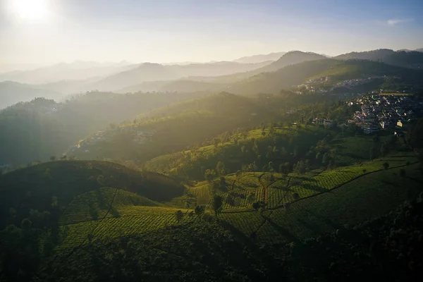 Aerial View Beautiful Tea Plantation Sunset Nilgiris Mountains Kerala South Stock Picture