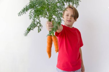 Kırmızı tişörtlü şirin bir çocuk taze bir havuç tutuyor. Sağlıklı gıda konsepti.