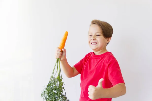 Słodki Chłopiec Czerwonej Koszulce Trzyma Świeżą Marchewkę Koncepcja Zdrowej Żywności — Zdjęcie stockowe
