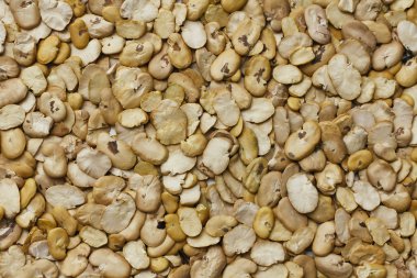 Kurutulmuş bölünmüş bakla desen doku. 