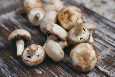 Champignon mantarı. Ahşap masa üzerinde küçük beyaz kahverengi mantar. 