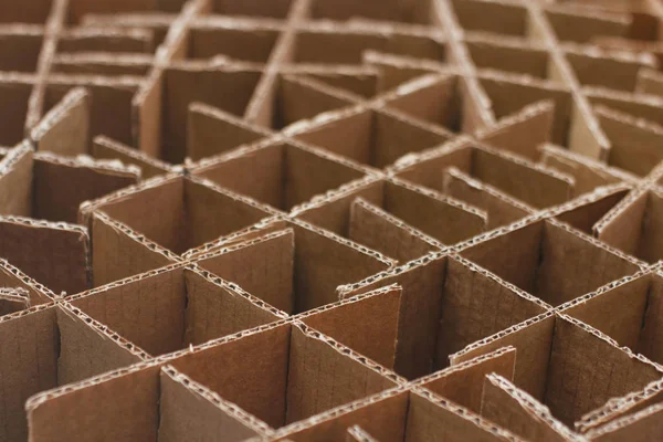 Şişeler için boş karton kutular. İçecekleri paketleme ve nakliye. Şaraplar durumda.