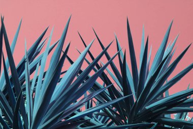 Neon pembe palmiye arka plan konsepti. 