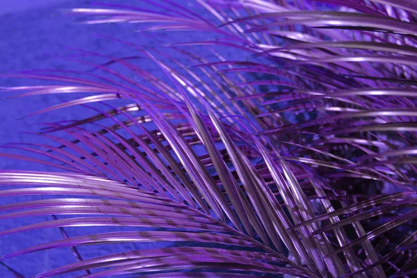 Neon Roze Palm Achtergrond Concept — Stockfoto