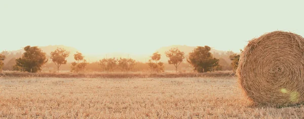 Haystack Campo Hora Pôr Sol Temporada Colheita Foto Longa Banner — Fotografia de Stock