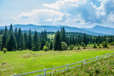 Dağlar (Karpaty, Ukrayna) doğal görünümünü. Açık, güneşli, yaz günde dağlarda. Beyaz ahşap çit bir çayırda. İğne yapraklı orman Dağları arka planda.