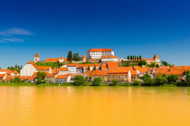 Cityscape tarihi kentin Avrupa Ptuj, Slovenya. Panoramik manzaralı rahat kasaba. Geleneksel mimarisi ile turuncu kiremit çatı. Drava Nehri'nin kıyısında