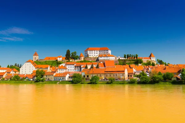 Cityscape Old European Town Ptuj Slovenia Panoramic View Small Cozy — Stock Photo, Image