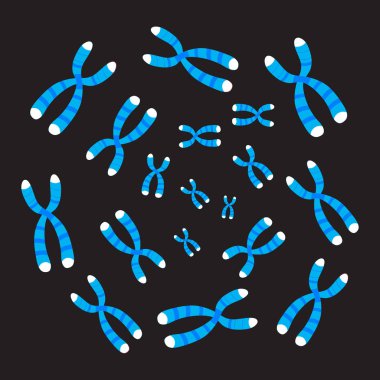 Chromosomes  on Black Background clipart