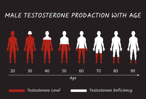 Prodação de testosterona masculina com idade . — Vetor de Stock