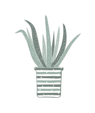 İskandinav Tarzında Ev Bitkisi Kartı