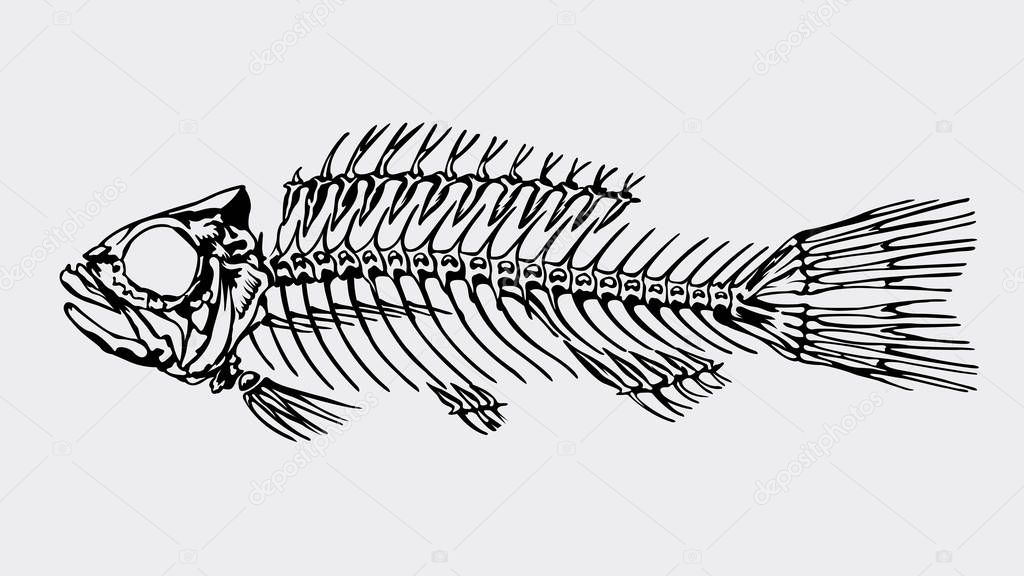 Silhouette in black color of a skeleton of a big fish on light gray background. Vector image
