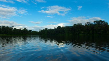 Lagün kıyısındaki ağaçlar, Lago Agrio olarak da bilinen Nueva Loja şehrinin dışındaki Perla parkındaki suya yansıdı.