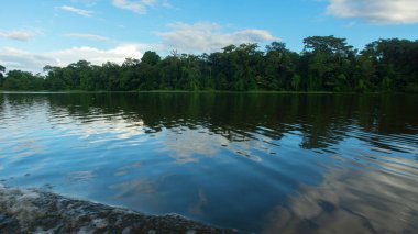 Lagün kıyısındaki ağaçlar, Lago Agrio olarak da bilinen Nueva Loja şehrinin dışındaki Perla parkındaki suya yansıdı.