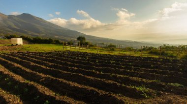 Yeşil dağlarla ekilmiş küçük bir tarla ve güneş doğarken arkasında sarı bulutlar olan gökyüzü.