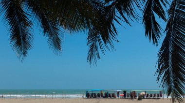Ön planda palmiye yaprakları, plajdaki sandalyelerde dinlenen turistler ve odaksız arka planda mavi gökyüzü.