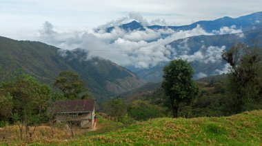 Dağlar arasındaki kırsal bölgede bulutlarla çevrili küçük bir ev. Ekvador 'un Bolivar ilindeki manzara